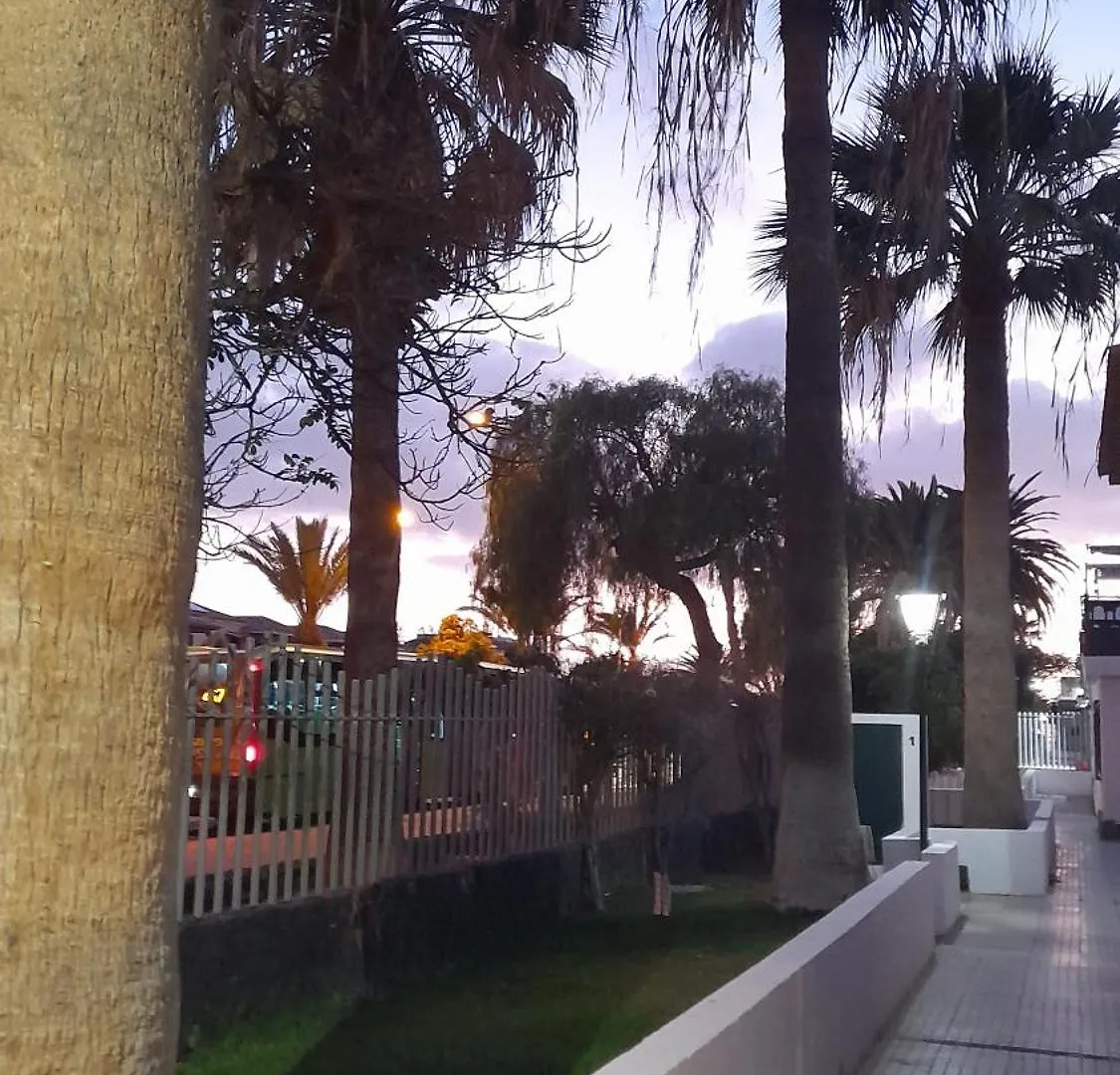 Costa Del Silencio Playa Montana Amarlla,Pools,Wifi 아파트